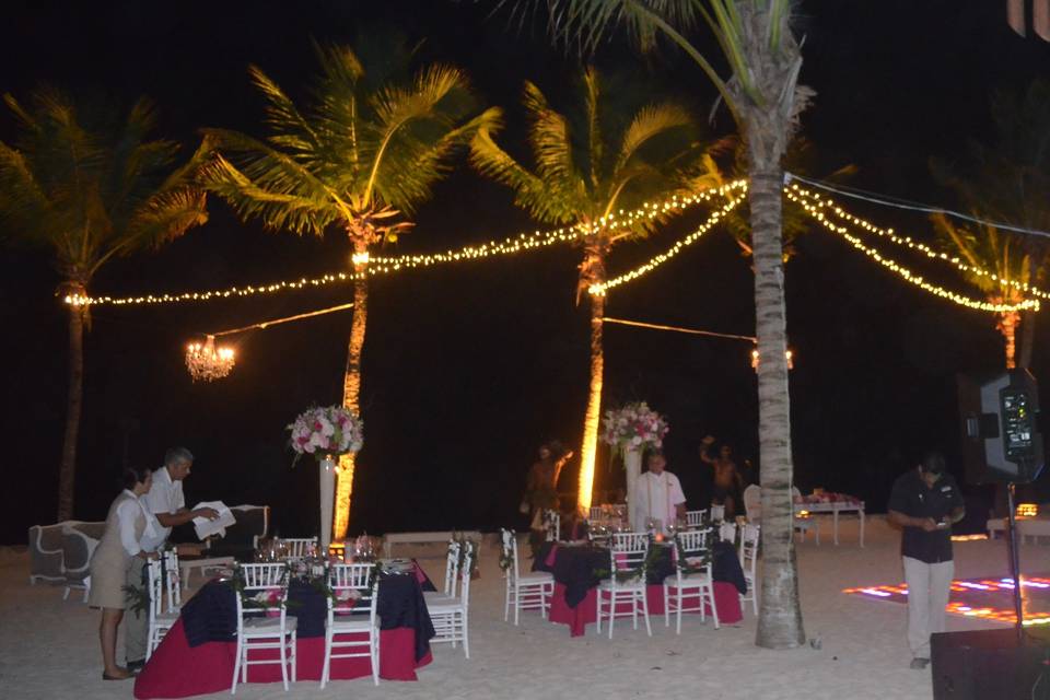 The reception between palms with chandeliers and garlands of lights