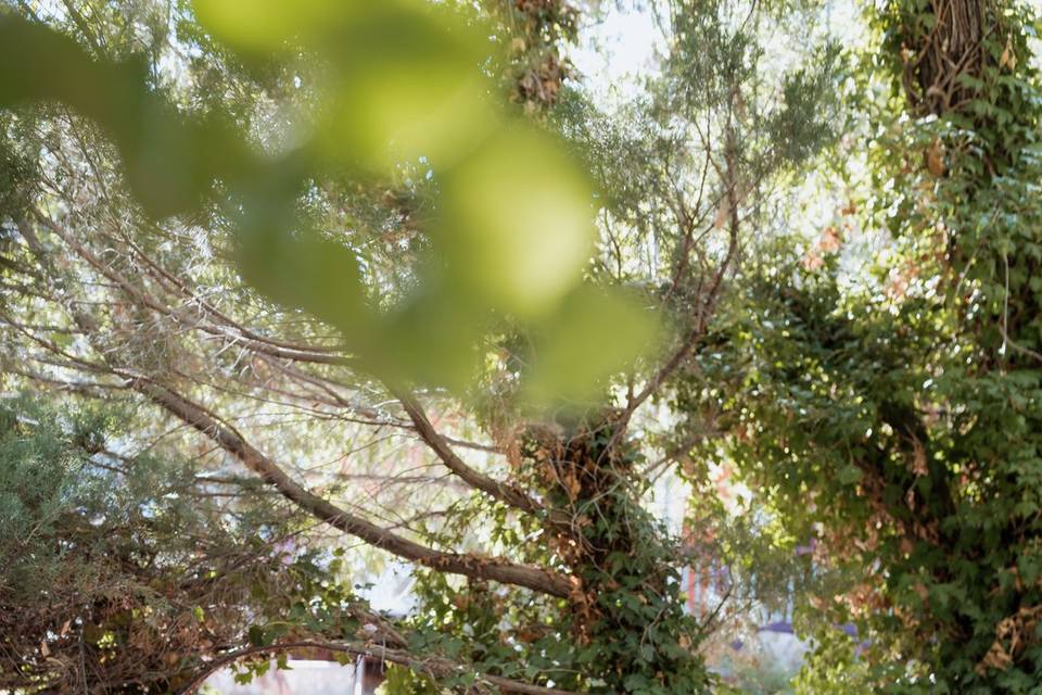 Miranda + Brandon // Bisbee