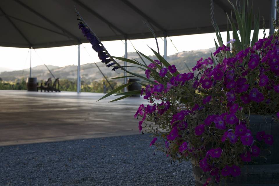 Wedding ceremony area