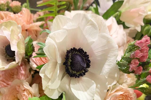 Floral representations of love