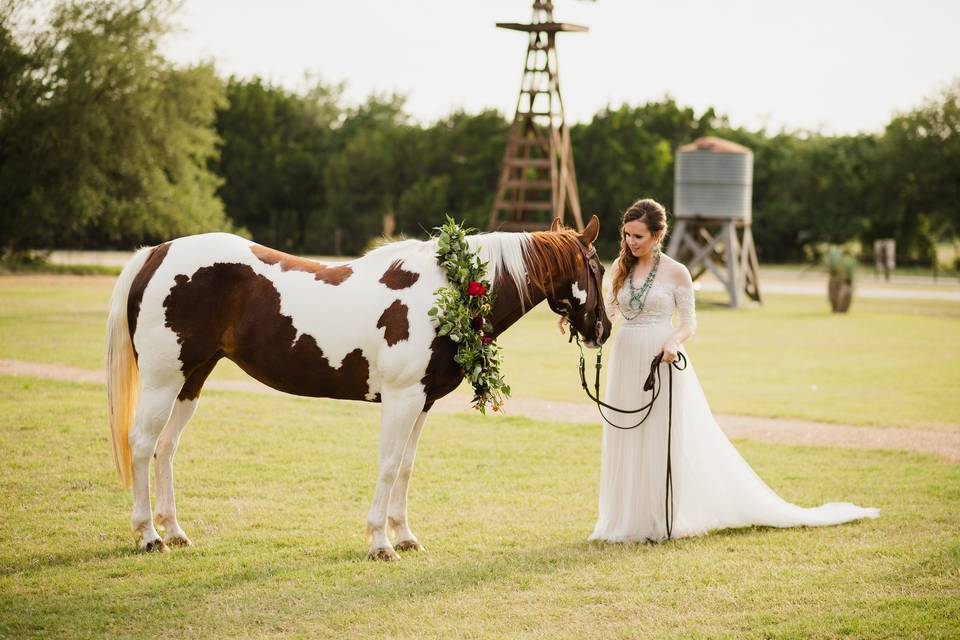 Bride with Paint Horse