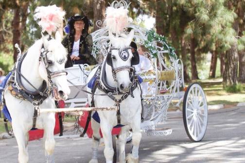 Bridal Shower Entrance