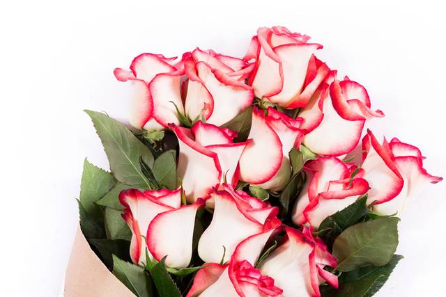 Bi-Color Elegant Luxury Wedding Roses