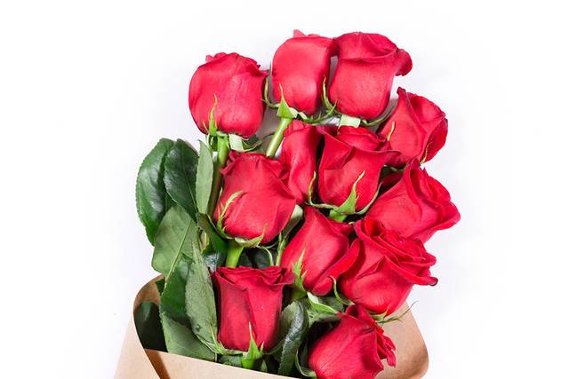 Red Elegant Luxury Wedding Roses