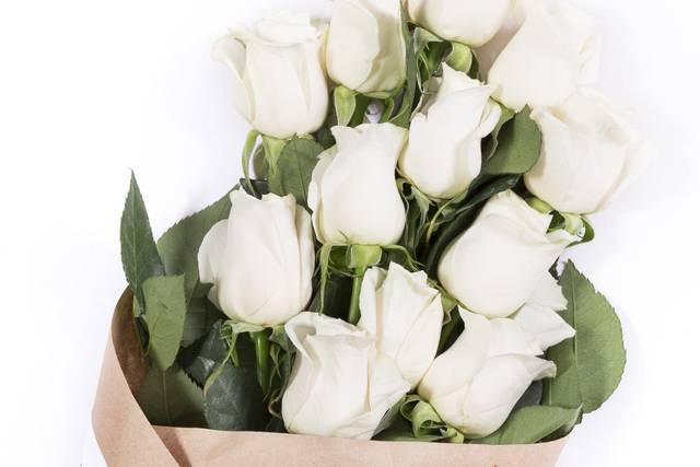 Cream Elegant Luxury Wedding Roses