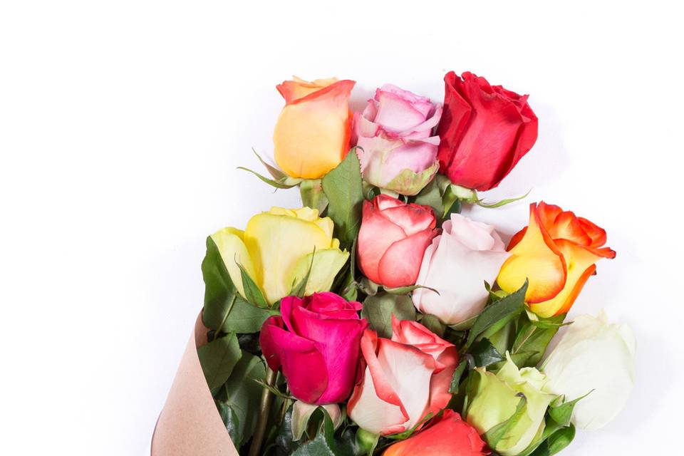 Assorted Colors Elegant Luxury Wedding Roses