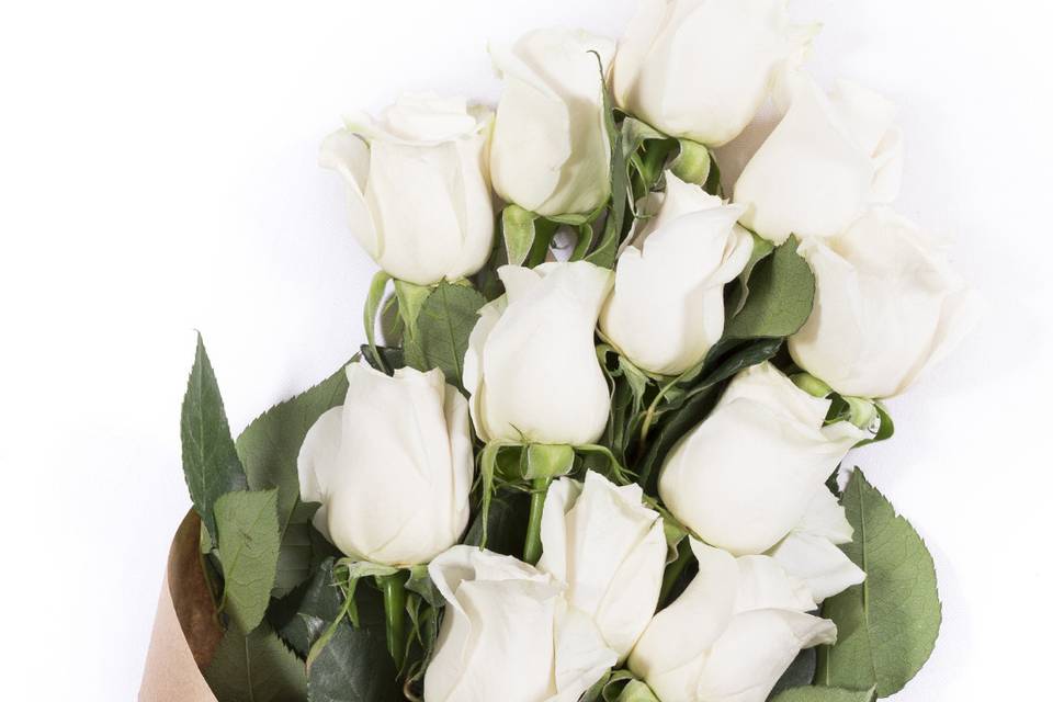 Cream Elegant Luxury Wedding Roses