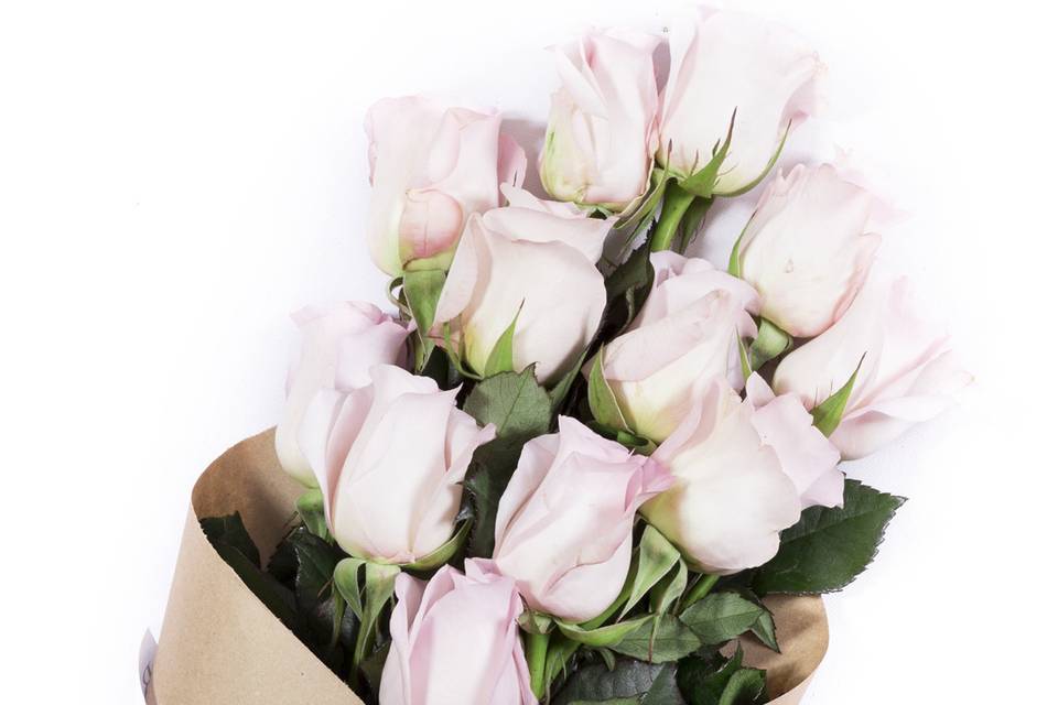 Light Pink Elegant Luxury Wedding Roses