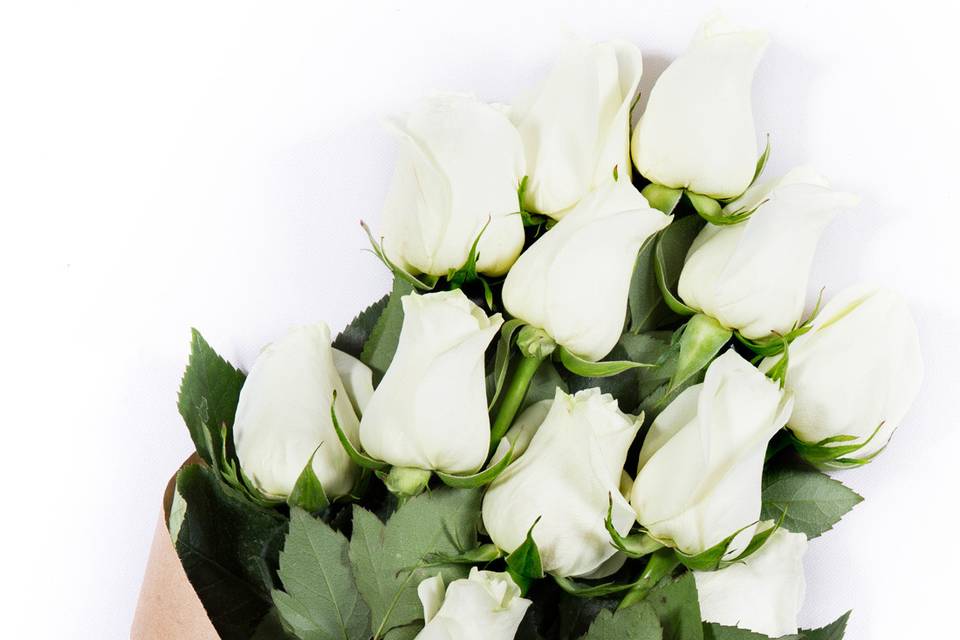 White Elegant Luxury Wedding Roses