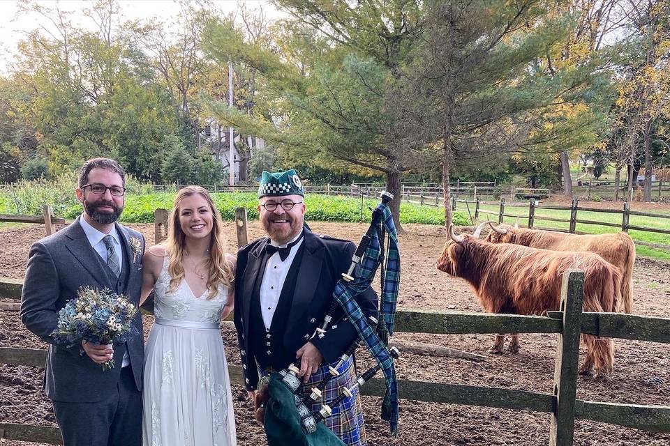 Farm wedding with cattle