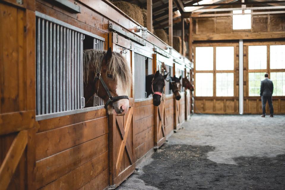 Hermitage Hill Farm & Stables