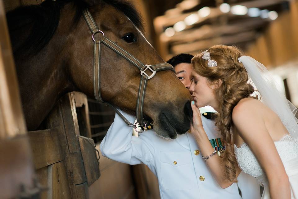 Hermitage Hill Farm & Stables