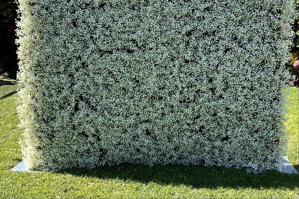 Baby's Breath Floral Wall
