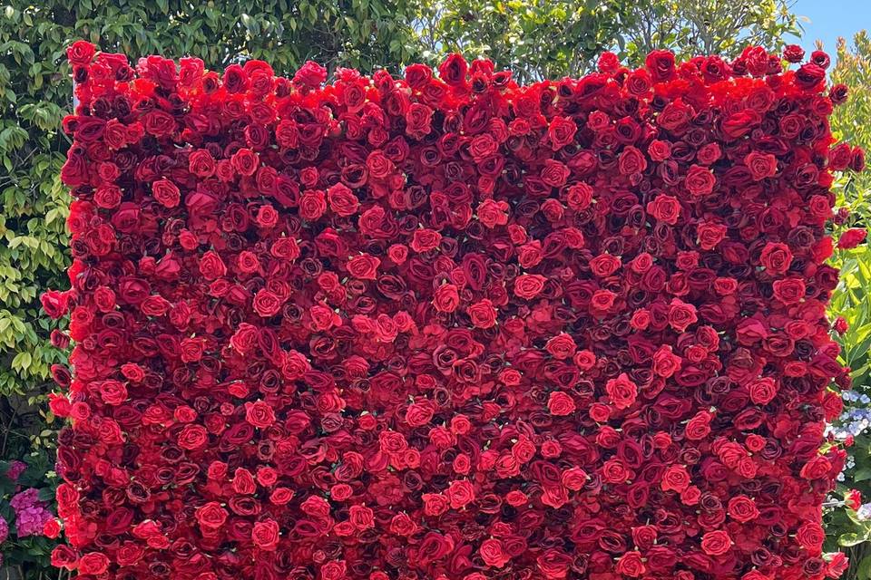Red Rose Floral Wall