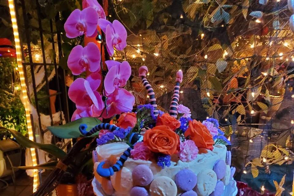 Witches crash cake