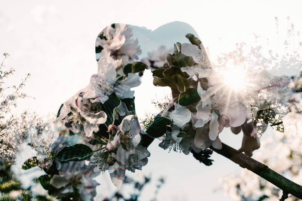 Apple Orchard Spring engagement session