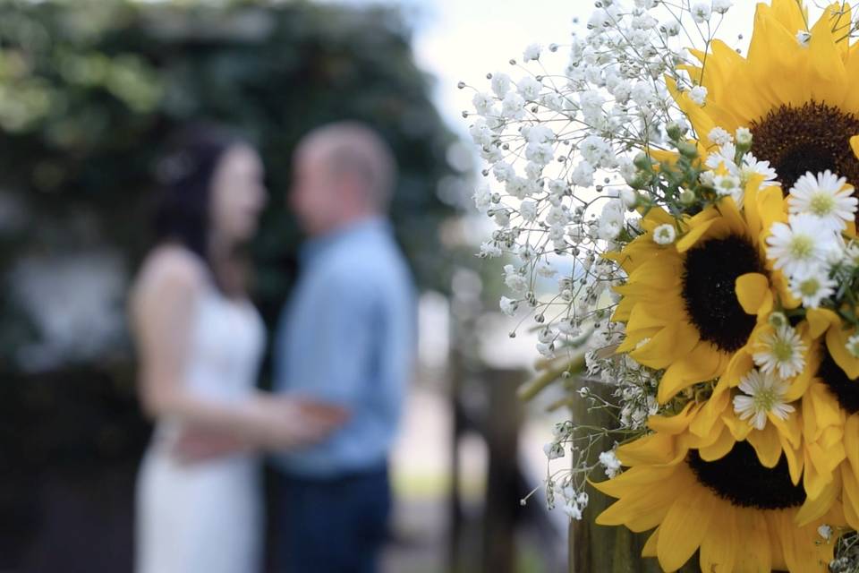 Sunflower celebrations