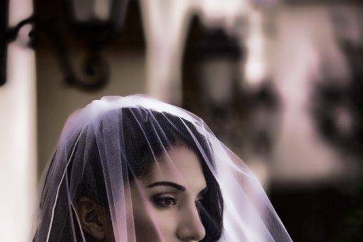 Bride's dramatic shot