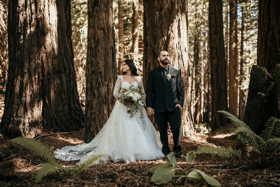 Redwood Wedding Day