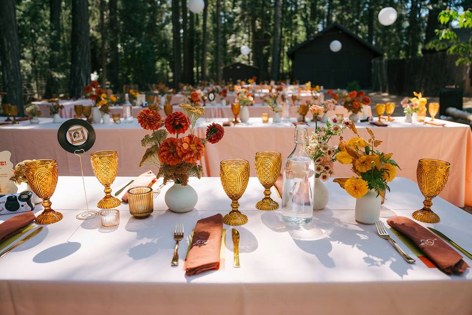 Nevada City wedding
