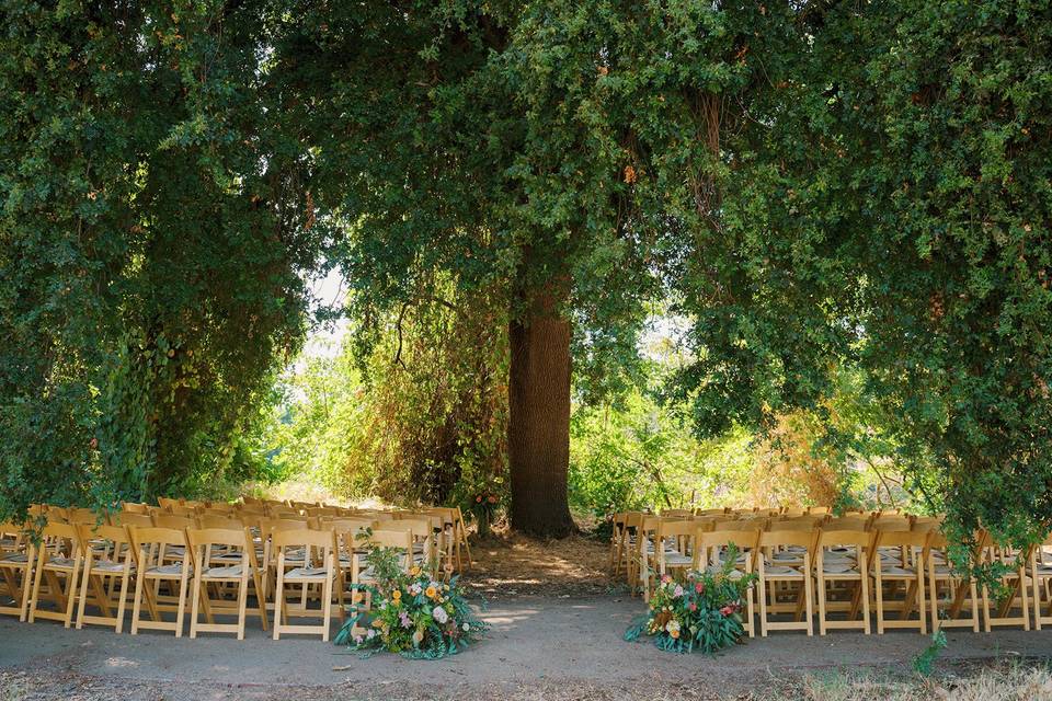 Sacramento wedding