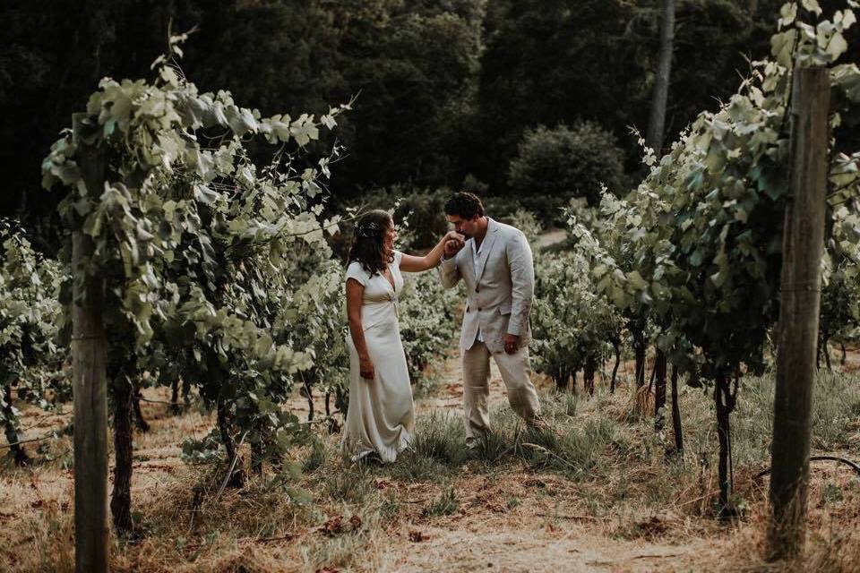 Love in the grapevines