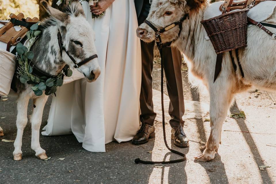 Nevada City wedding