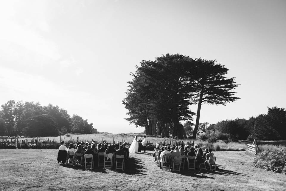 Mendocino wedding