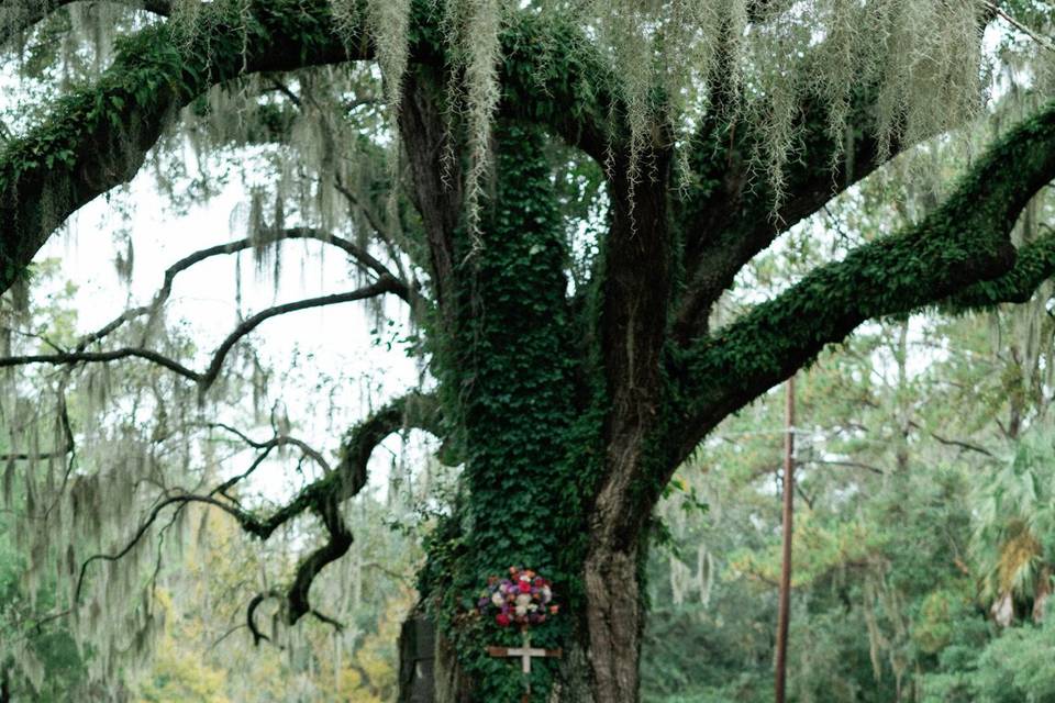 Charleston, SC