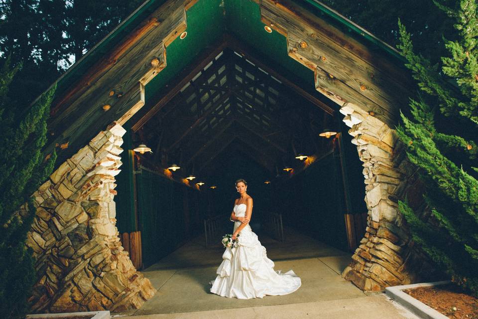 Wedding Day