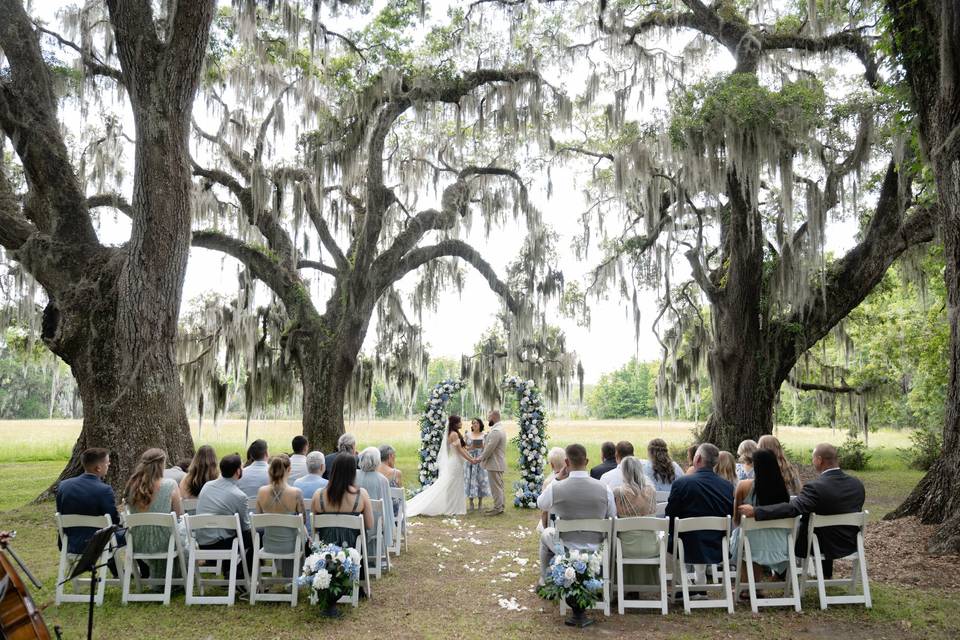 David & Dannie Basile