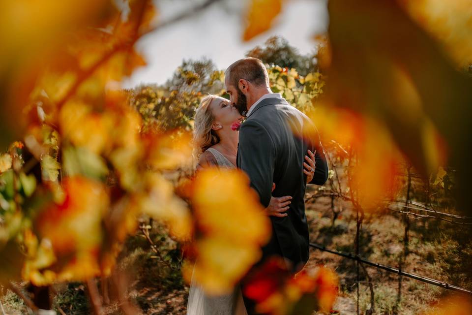 Vineyard wedding