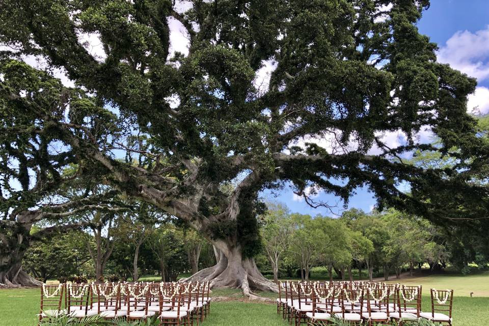 Dillingham Ranch Ceremony