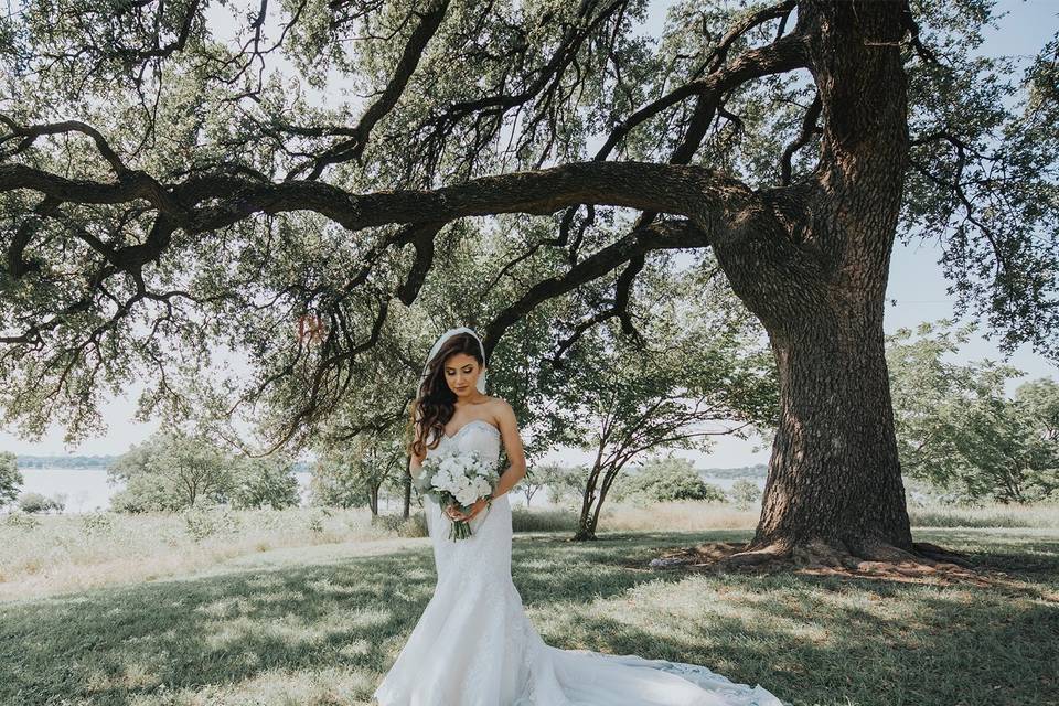 Bride's bouquet