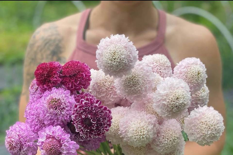Michigan Grown Flowers
