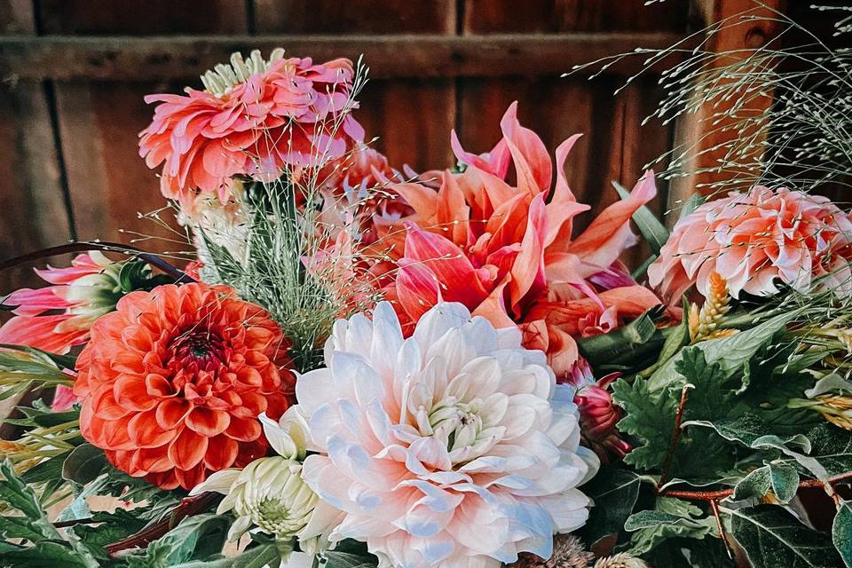 Michigan-grown dahlias