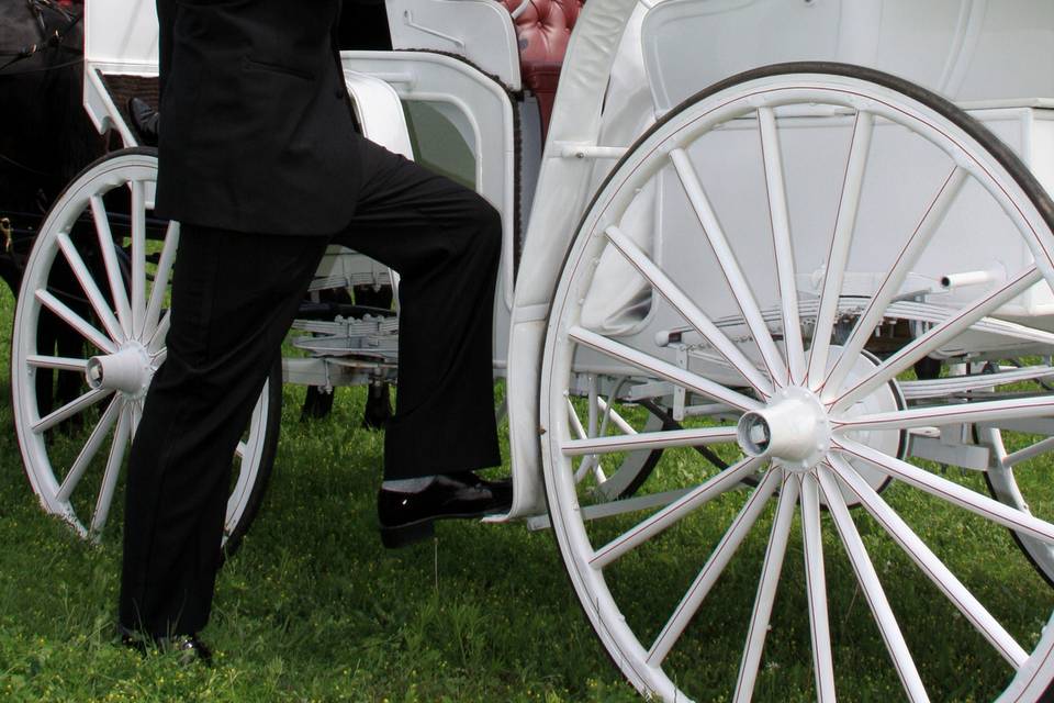 The carriage