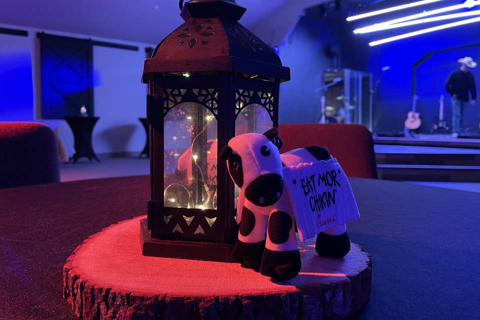 Lantern and cow