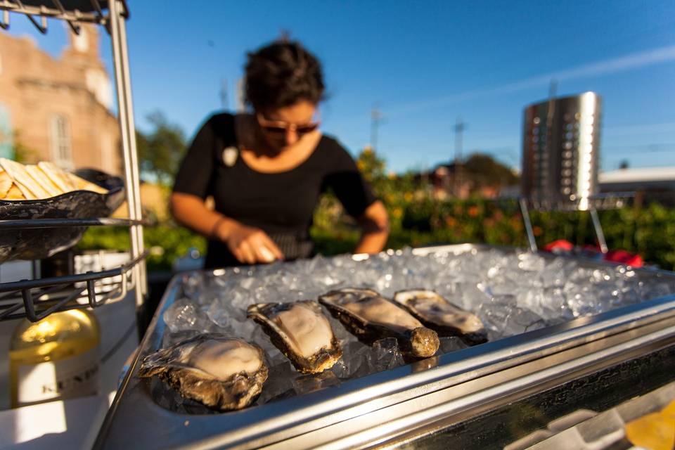 Raw oyster shuckers