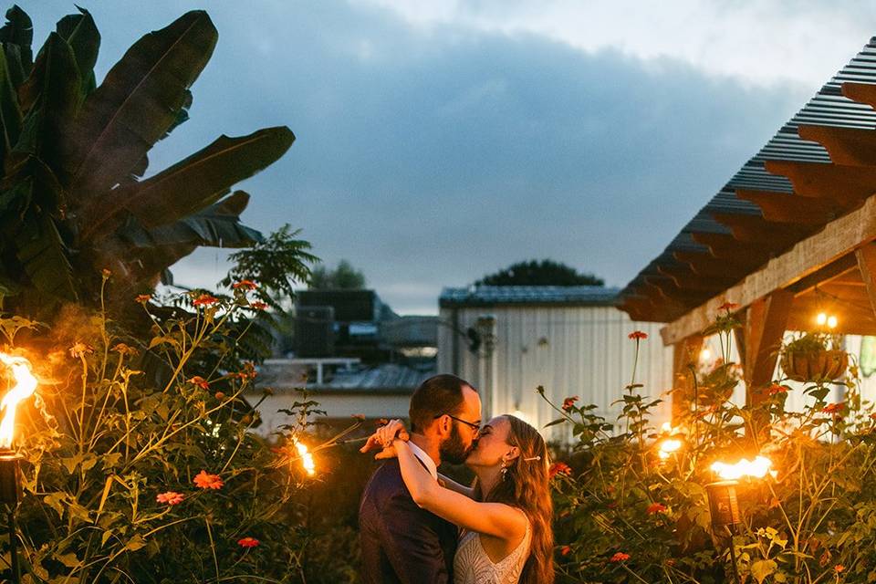 Romantic garden