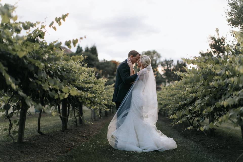 Bride and Groom Vineyard