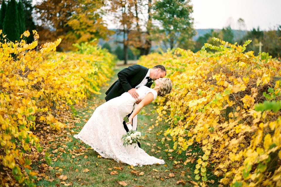 Bride and Groom Vinyard