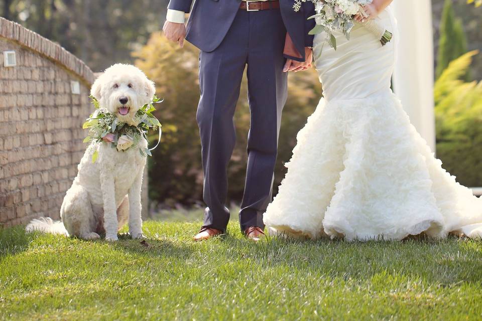 Bride and Groom