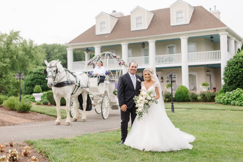 Horse and Carriage