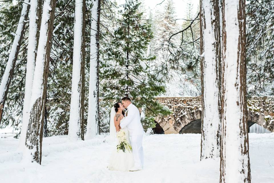 Yosemite Wedding Photography