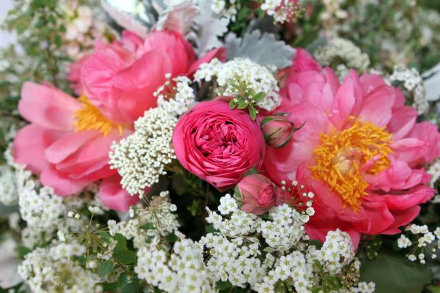 Julie K. Koehn Photography, LLC