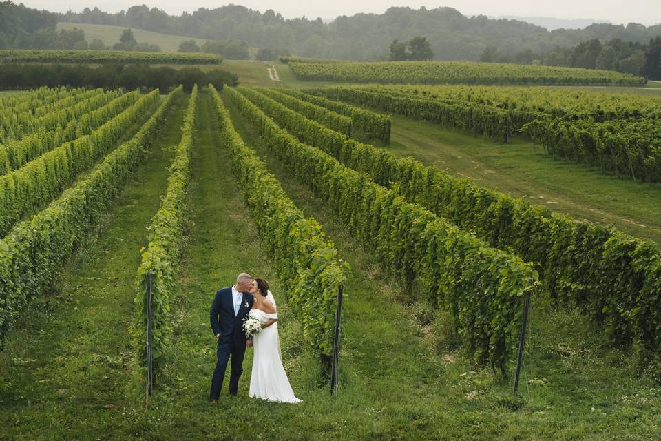 Vineyard wedding