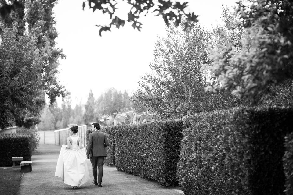 Wolf Weddings