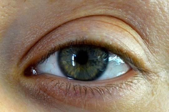 Swoon Lash Extensions
