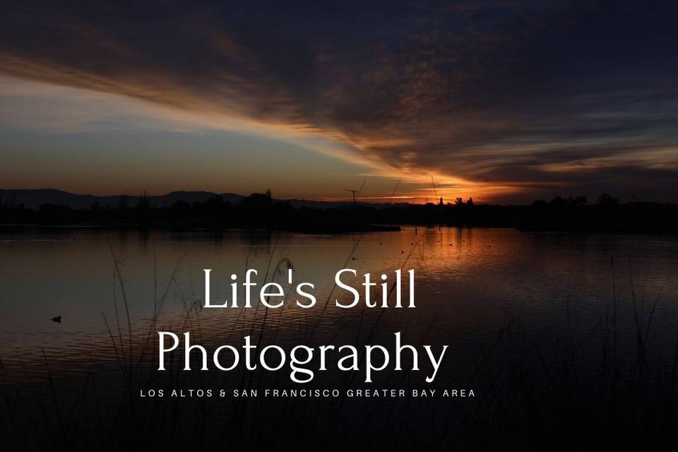 Www.lifesstillphotography.com